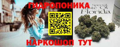 гидра Кулебаки