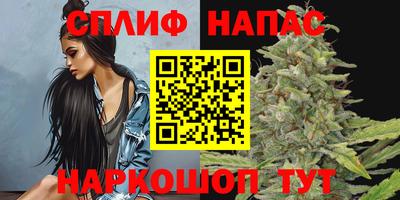 гидра Кулебаки