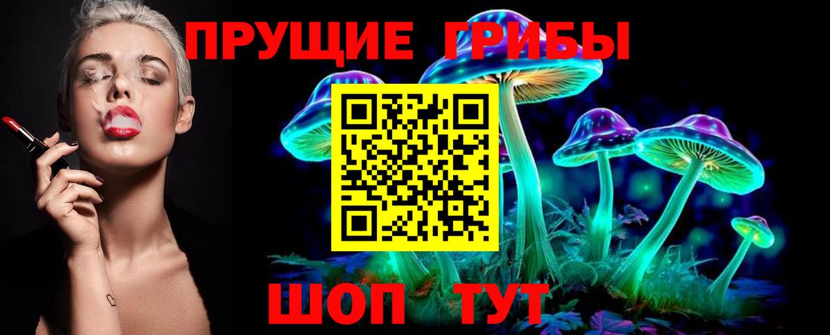 Псилоцибиновые грибы Cubensis Касимов